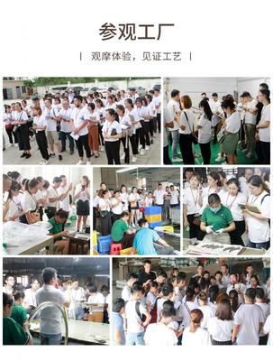 蛻變季 米蘇燈飾M6+超級盈利系統第六期特訓營順利閉營，文化經紀人服務賦能行業新生態