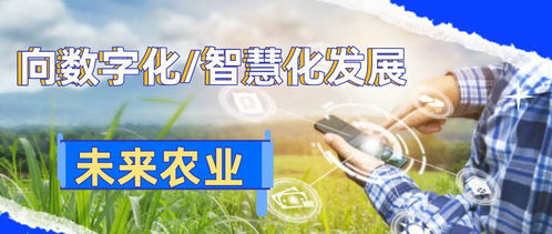 數(shù)字化鄉(xiāng)村智能管理 引領(lǐng)農(nóng)業(yè)革命，助推農(nóng)民增產(chǎn)致富
