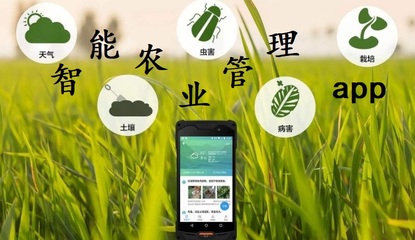 智慧播種未來 農業App推薦與智能農業管理指南